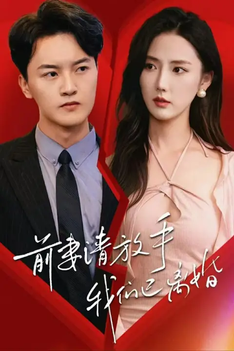 《前妻请放手，我们已离婚》封面