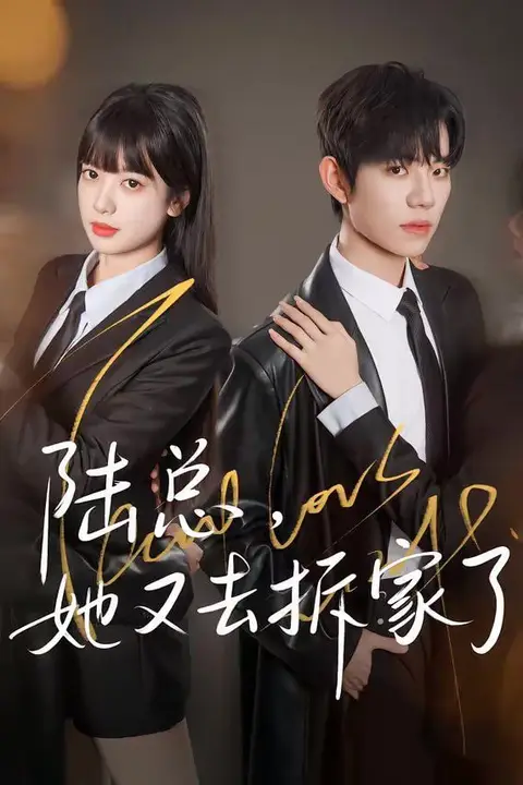 《陆总，她又去拆家了》封面