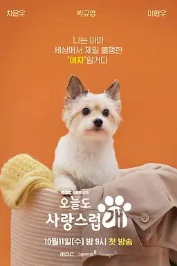 《今天也很可爱的狗》封面