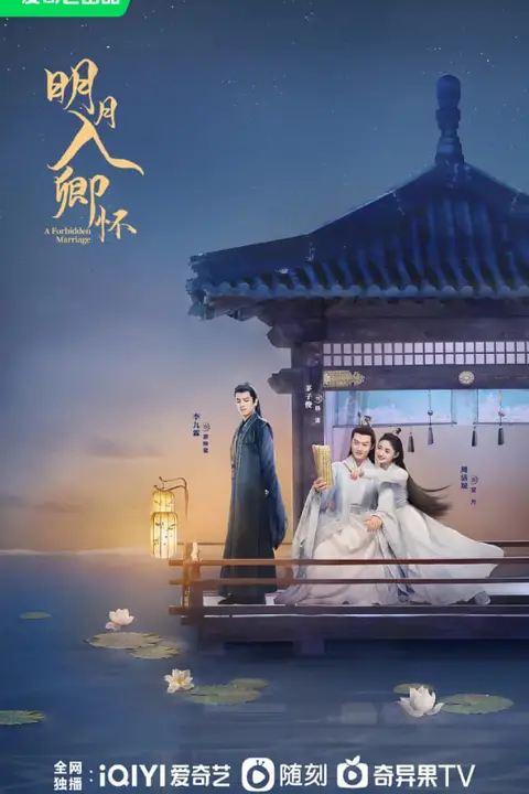 《明月入卿怀》封面
