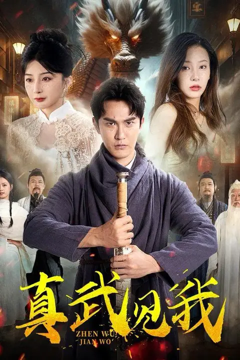 《真武见我》封面