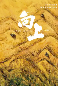 《向上》封面