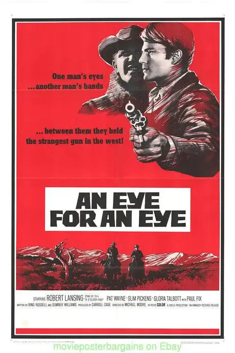 《以眼还眼 1966》封面