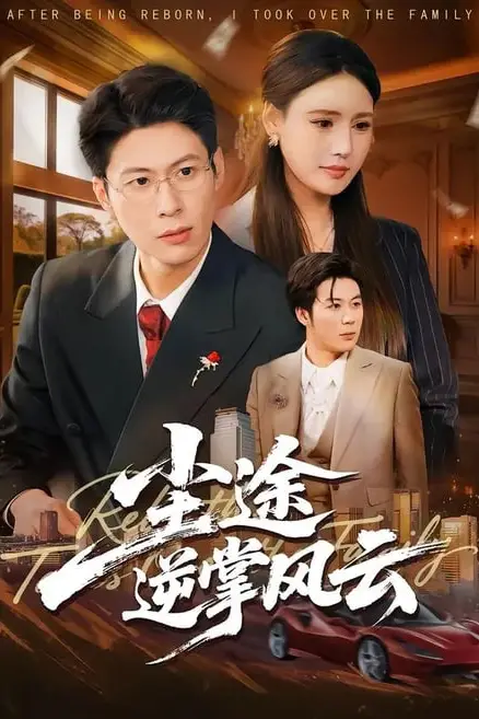 《尘途逆掌风云》封面