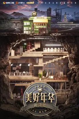 《美好年华研习社 会员Plus版》封面