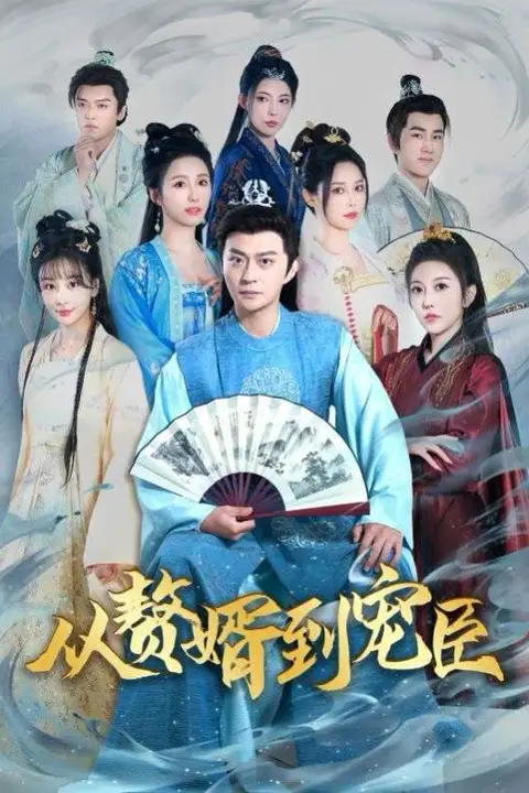《从赘婿到宠臣》封面