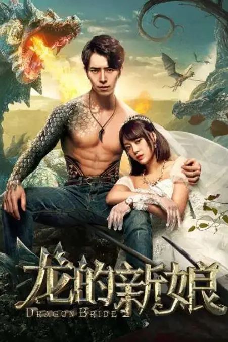 《龙的新娘》封面