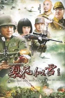 《梨花似雪》封面