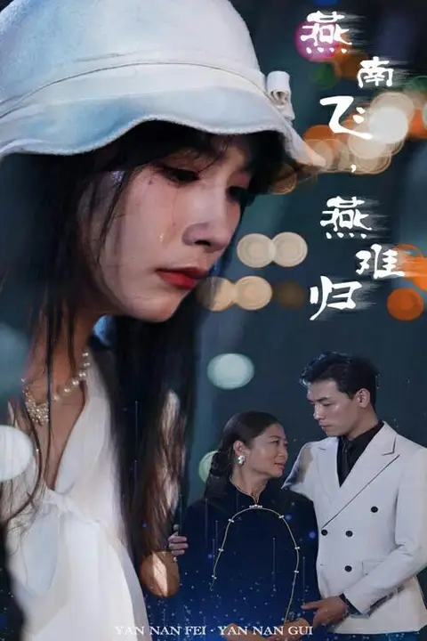 《燕南飞,燕难归》封面