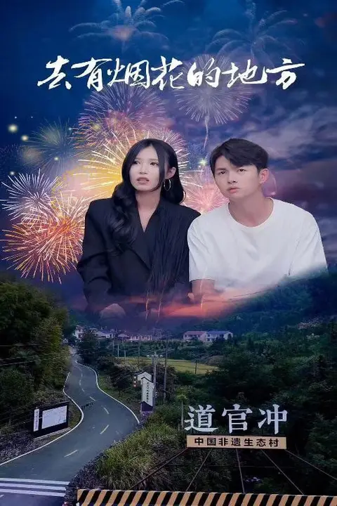《去有烟花的地方》封面
