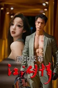 《缅北反诈江湖情》封面