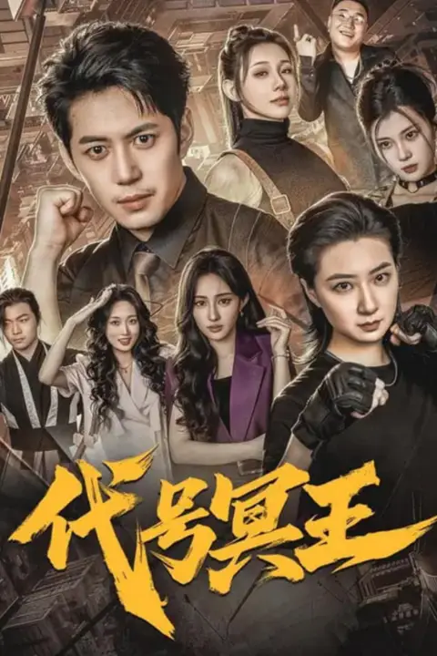 《代号冥王》封面