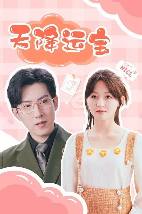 《天降运宝》封面