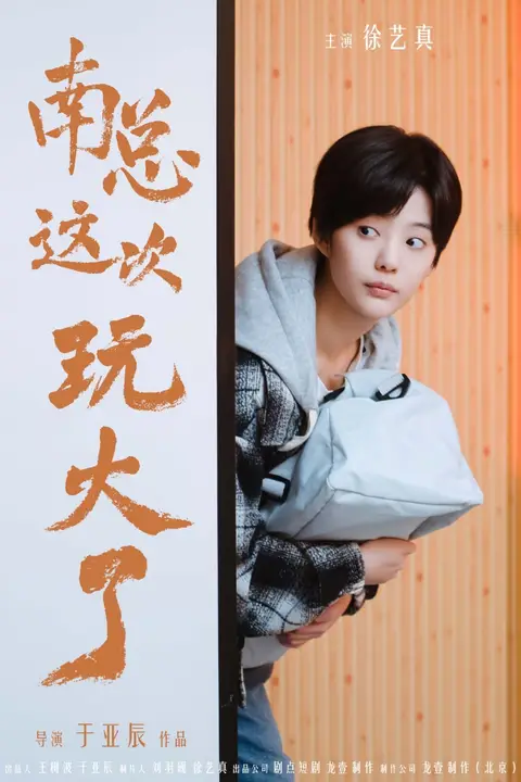 《南总这次玩大了》封面