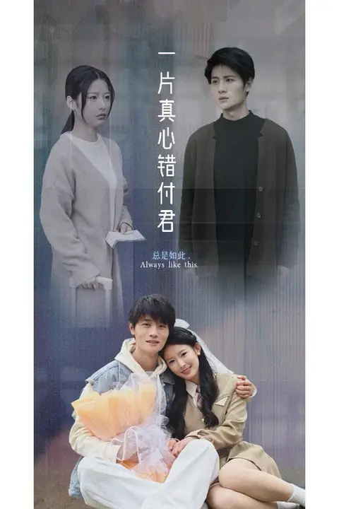 《一片真心错付君》封面