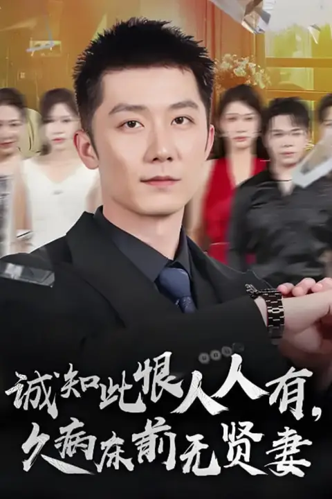 《诚知此恨人人有久病床前无贤妻（诚知此恨人人有，久病床前无贤妻）》封面