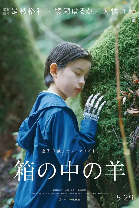 《盒子里的羊》封面