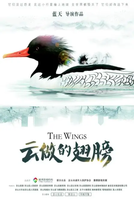 《云做的翅膀》封面