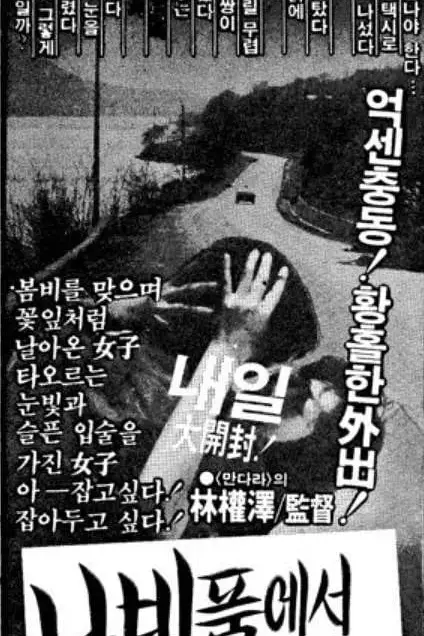 《蝴蝶怀中哭泣》封面