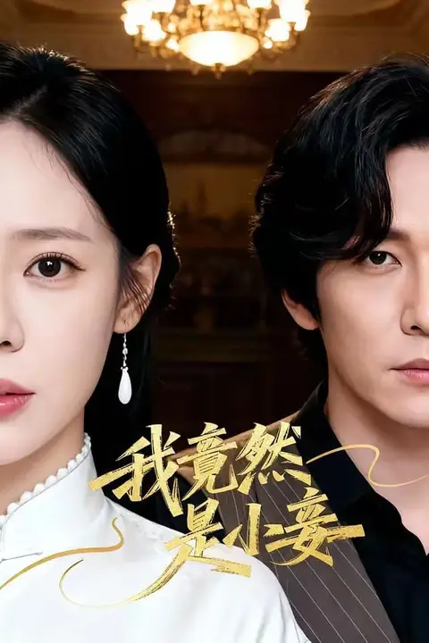 《我竟然是小妾》封面