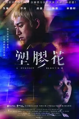《塑胶花》封面