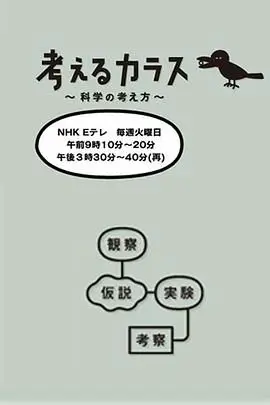 《像乌鸦一样思考》封面