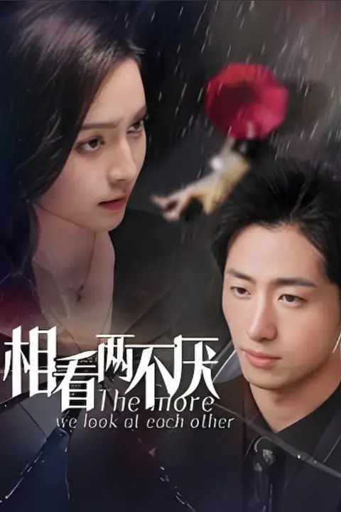 《最后一个侠客》封面