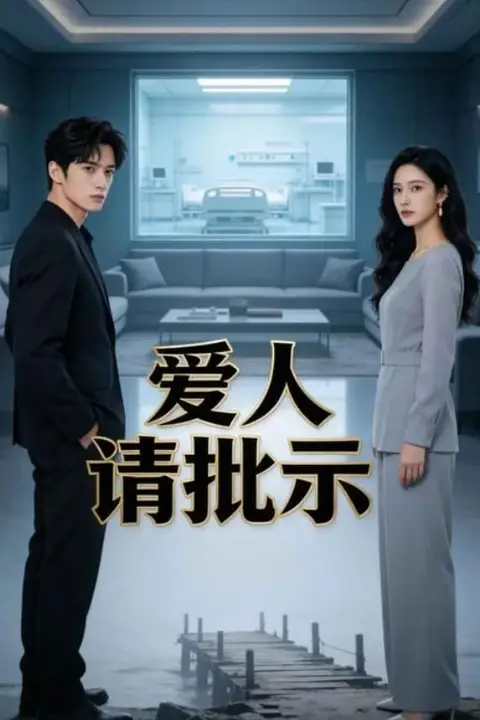 《爱人请批示》封面