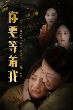 《你要等着我》封面