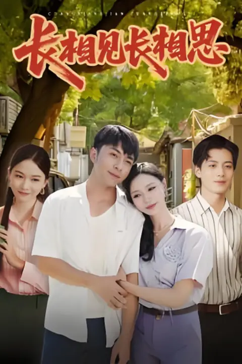 《长相见长相思》封面