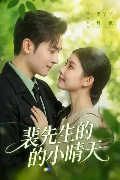 《裴先生的小晴天》封面