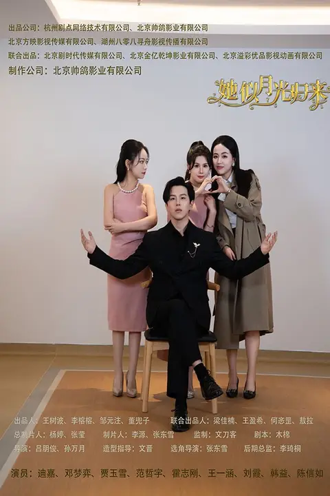 《她似月光归来》封面