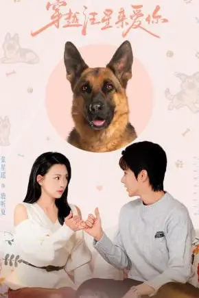 《穿越汪星来爱你》封面