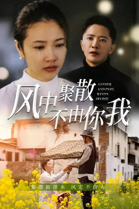 《风中聚散不由你我》封面