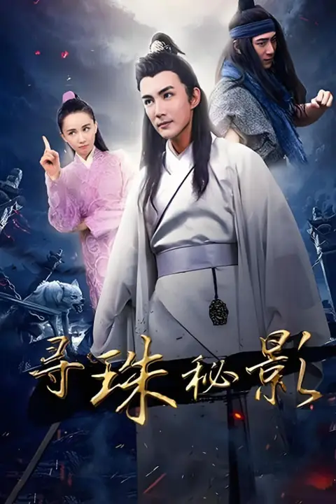 《寻珠秘影》封面