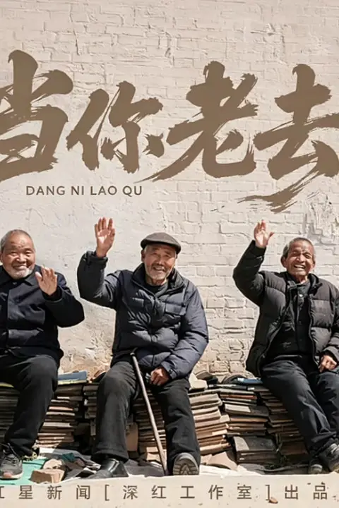 《当你老去》封面