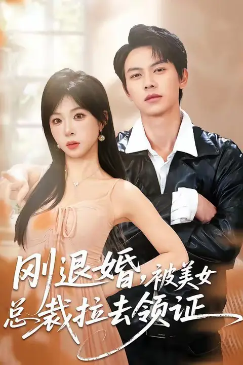 《刚退婚，被美女总裁拉去领证》封面