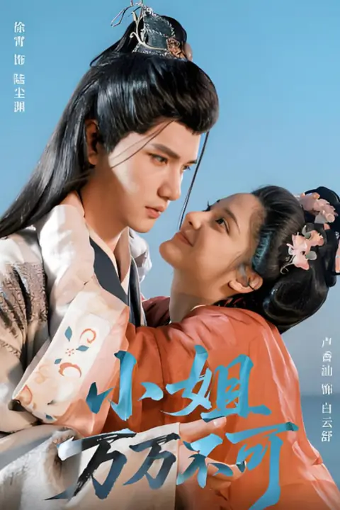 《小姐万万不可》封面