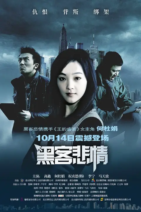 《黑客悲情 2011》封面