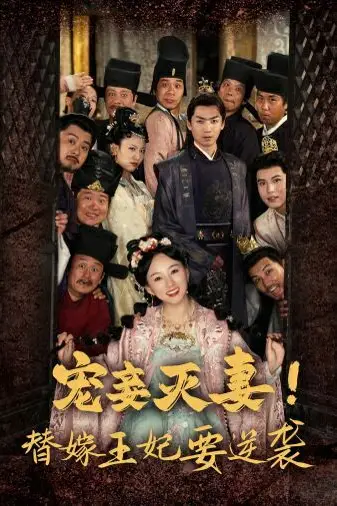 《宠妾灭妻！替嫁王妃要逆袭》封面