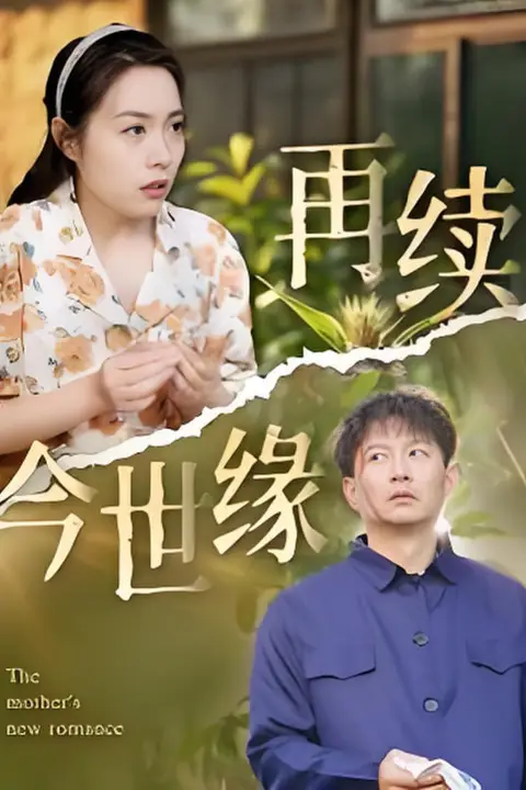 《再续今世缘》封面