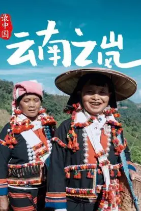 《最中国云南之岚》封面