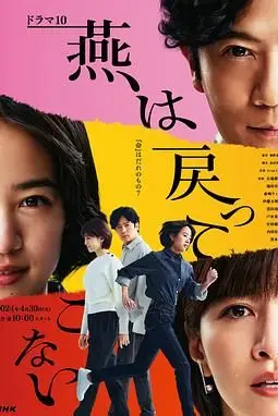 《燕子不再归来》封面