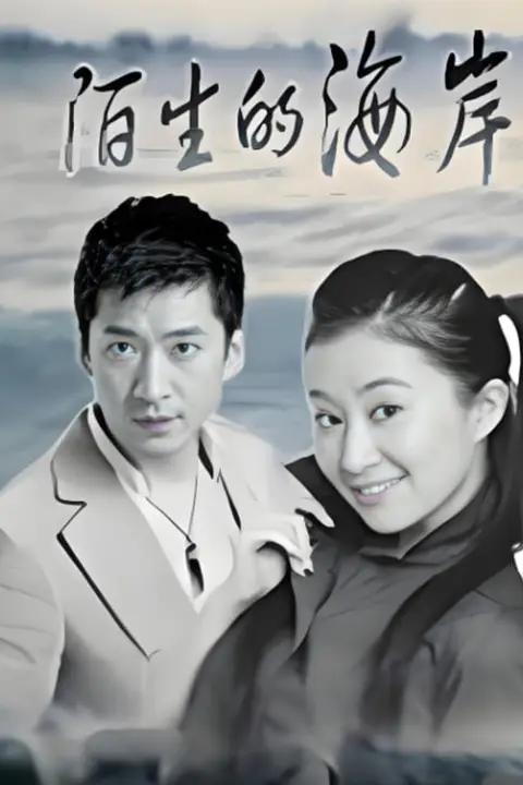 《陌生的海岸》封面