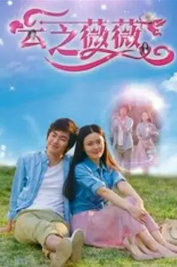 《云之薇薇》封面