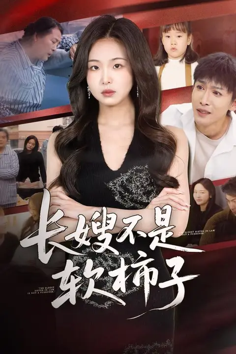 《长嫂不是软柿子》封面
