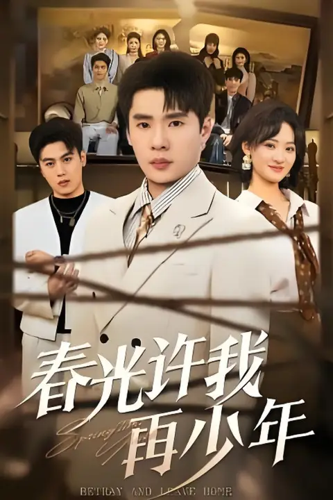 《春光许我再少年》封面