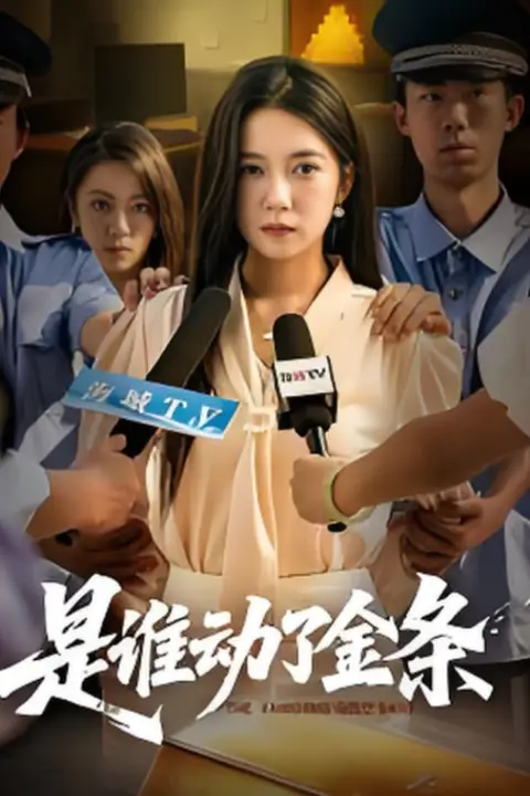 《是谁动了金条》封面