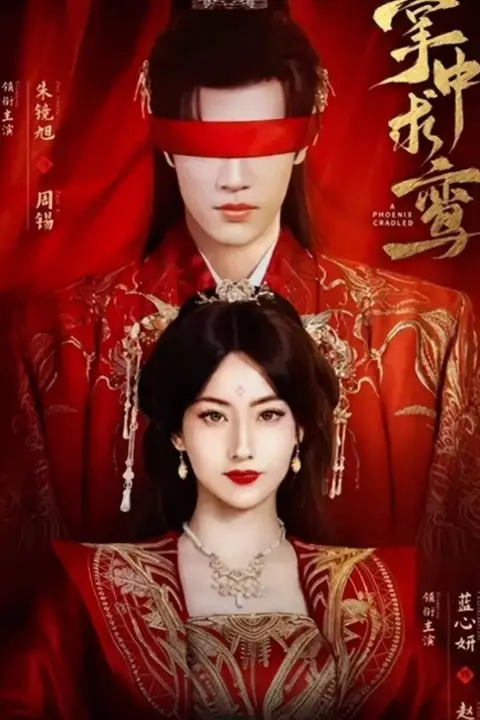 《掌中求鸾》封面