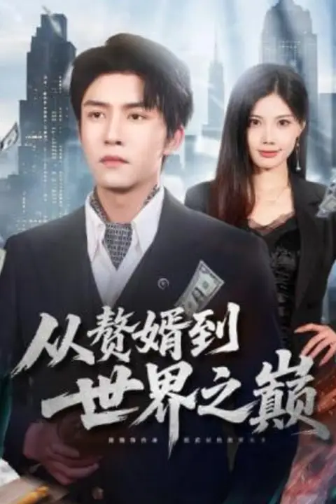 《从赘婿到世界之巅》封面